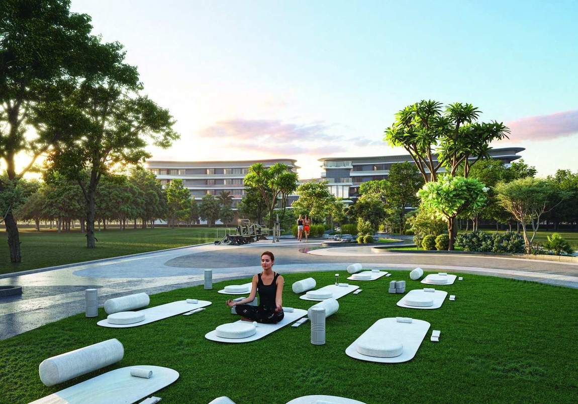 Central lawn between the buildings