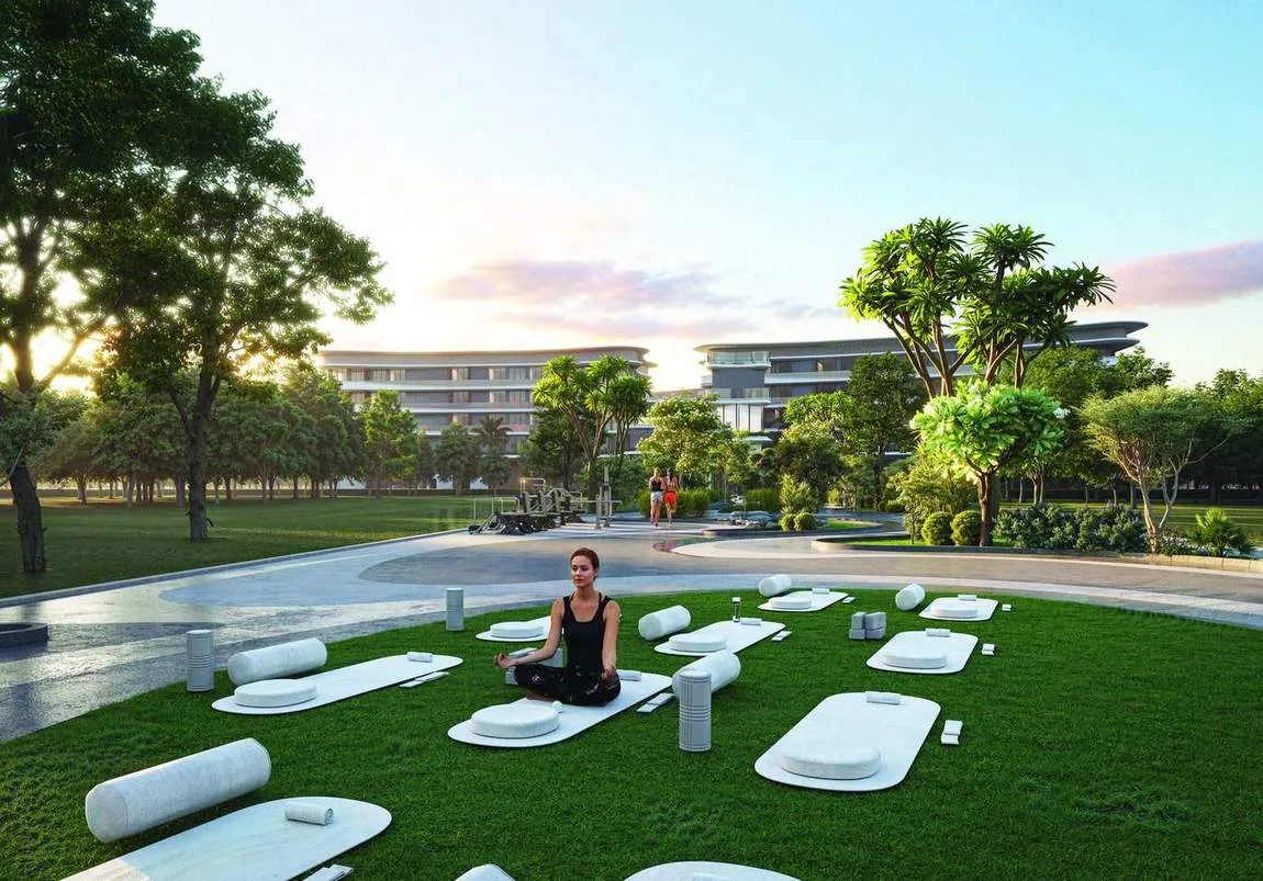 Central lawn between the buildings